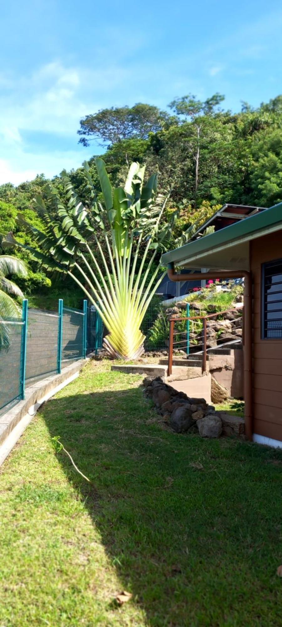 Fare Anuanua Bed & Breakfast Haapiti Exterior photo